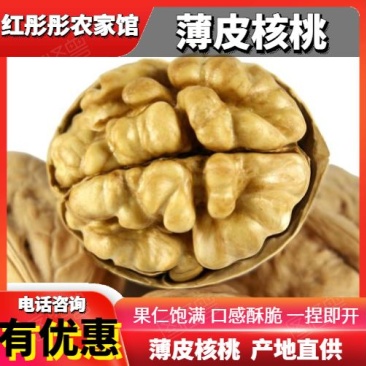 【包邮】2023精品薄皮核桃陕西高原农家种植一件代发