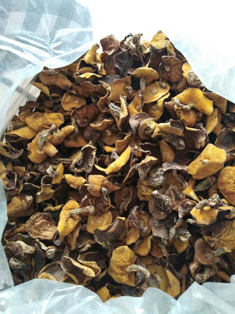 产区供承德隆化县野生蘑菇