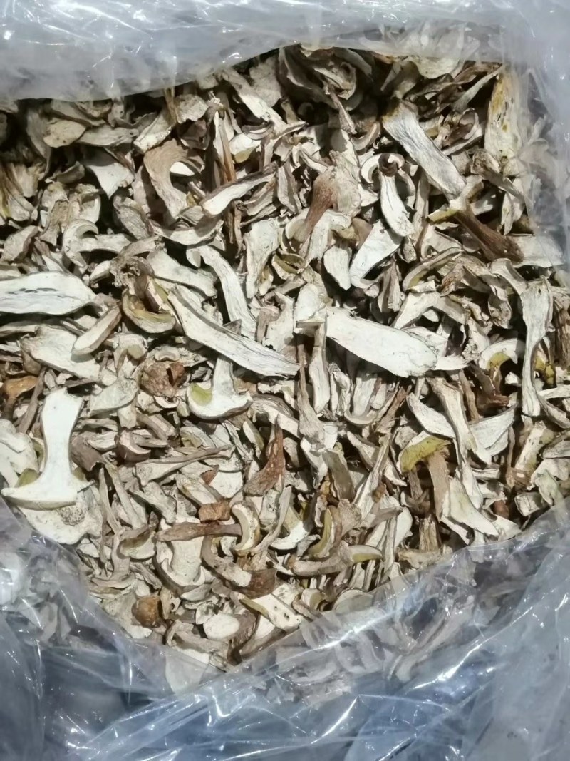 产区供承德隆化县野生蘑菇