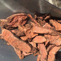 红景天正品西藏红景天批发零售
