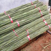 一手新鲜货竹竿，竹片，菜架竹，各个品种，规格都可以定制！