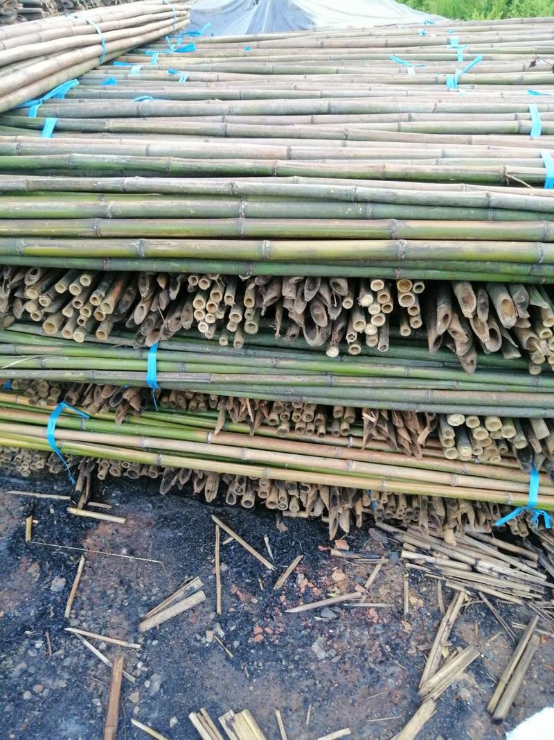 一手新鲜货竹竿，竹片，菜架竹，各个品种，规格都可以定制！