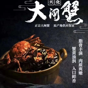 精品大闸蟹，自产自销，吃海鱼长大的螃蟹