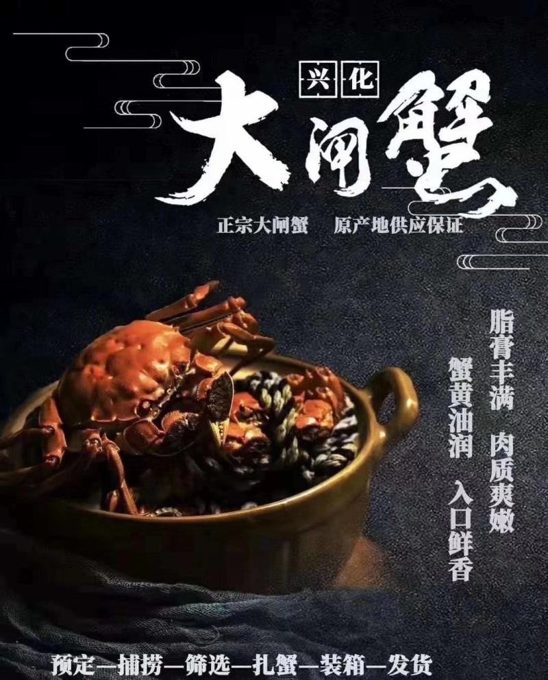 精品大闸蟹，自产自销，吃海鱼长大的螃蟹