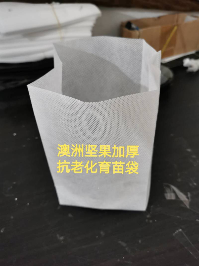 加厚无纺布育苗袋柑橘脐橙柚子等育苗容器种植袋工厂价批发