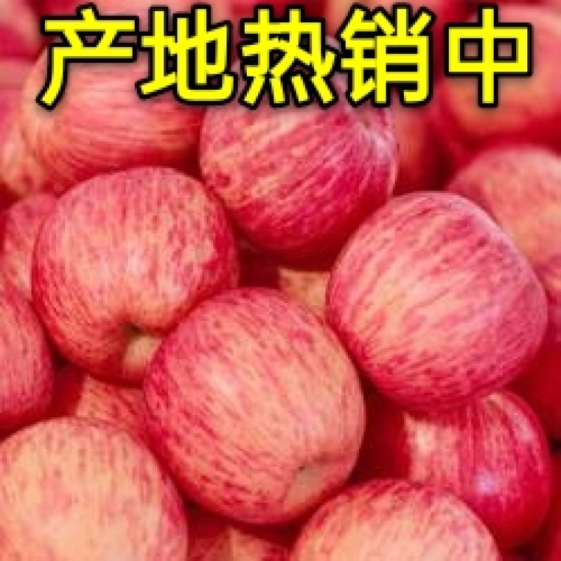 红富士苹果纸袋膜袋纸加膜常年供应产地直销颜色好