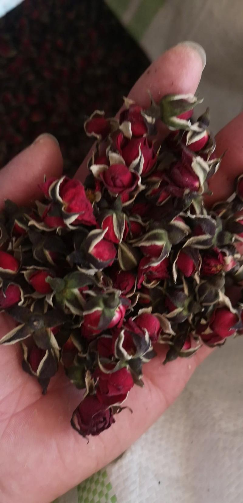 云南玫瑰食用金边玫瑰花茶大量产地一手供应批发