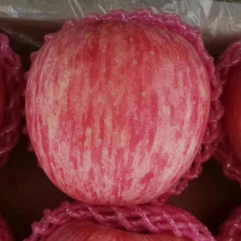 【红富士】苹果产地纸袋膜袋颜色好口感脆甜价格合理