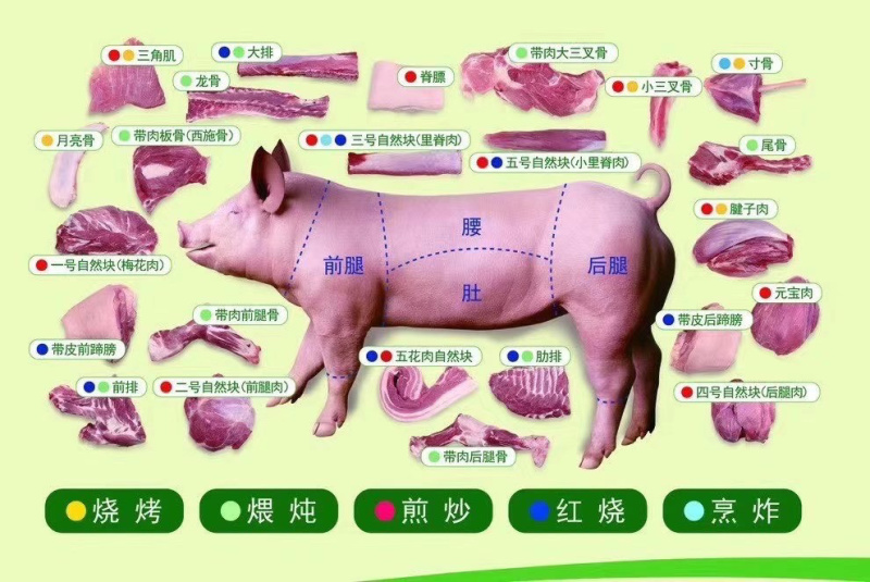 515板冻猪肚，饭堂餐饮学校食堂等可用
