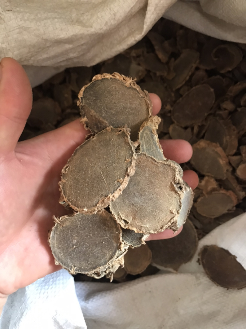 莪术无硫莪术规格齐全量大从优