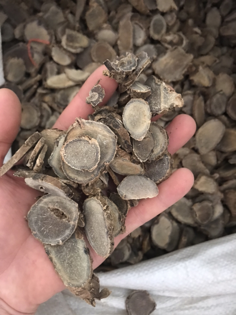莪术无硫莪术规格齐全量大从优