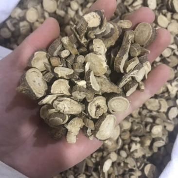 苦参苦参片产地直销量大从优
