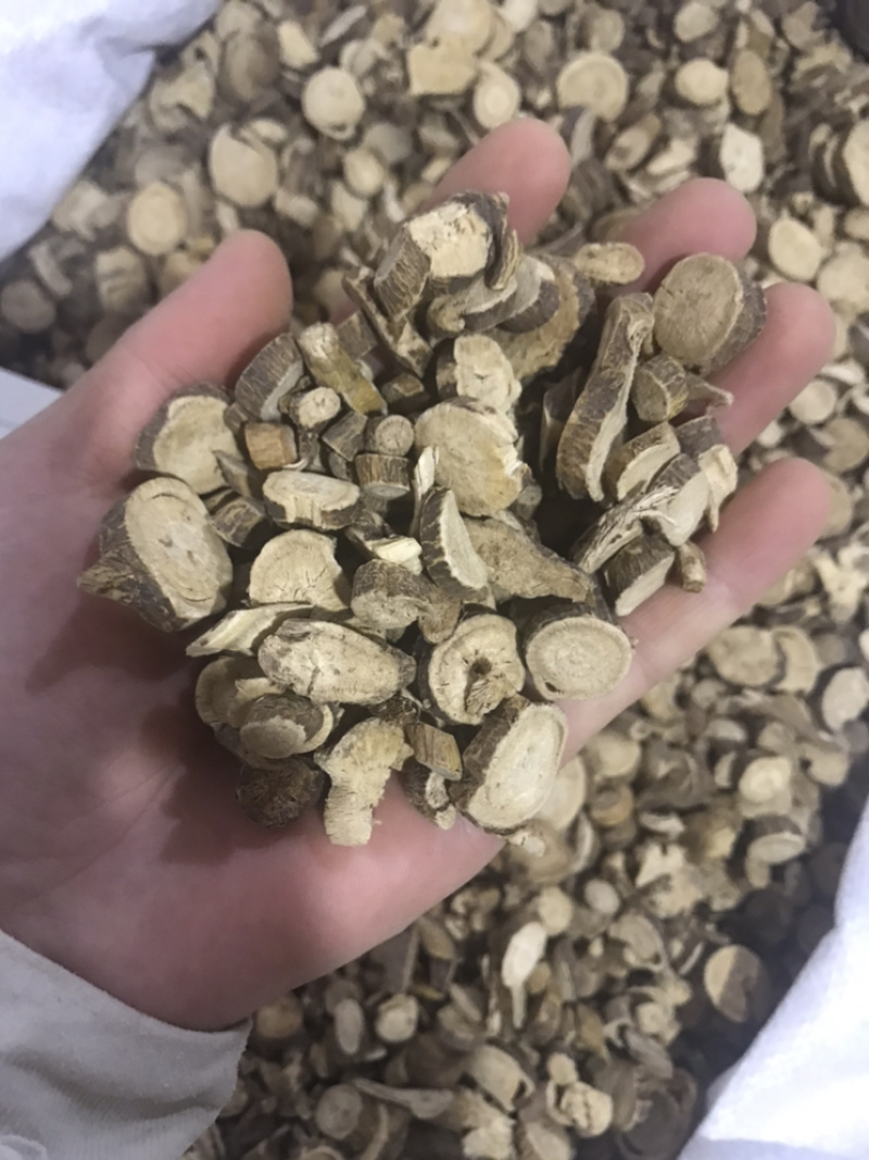 苦参苦参片产地直销量大从优