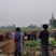 儿菜，早熟，中熟，基地直销，全国走车，无中间商