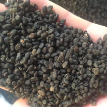 补骨脂过风车无杂质量大从优