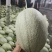 山东寿光晓蜜25哈蜜瓜，专业代收，代发一条龙服务。