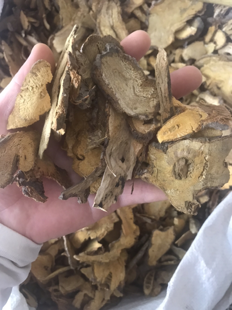 虎杖无硫虎杖片无杂质批发零售