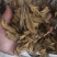 虎杖无硫虎杖片无杂质批发零售