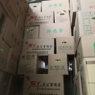 用过一次的鸡蛋纸箱便宜处理，捡趴活