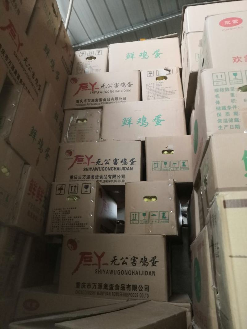 用过一次的鸡蛋纸箱便宜处理，捡趴活