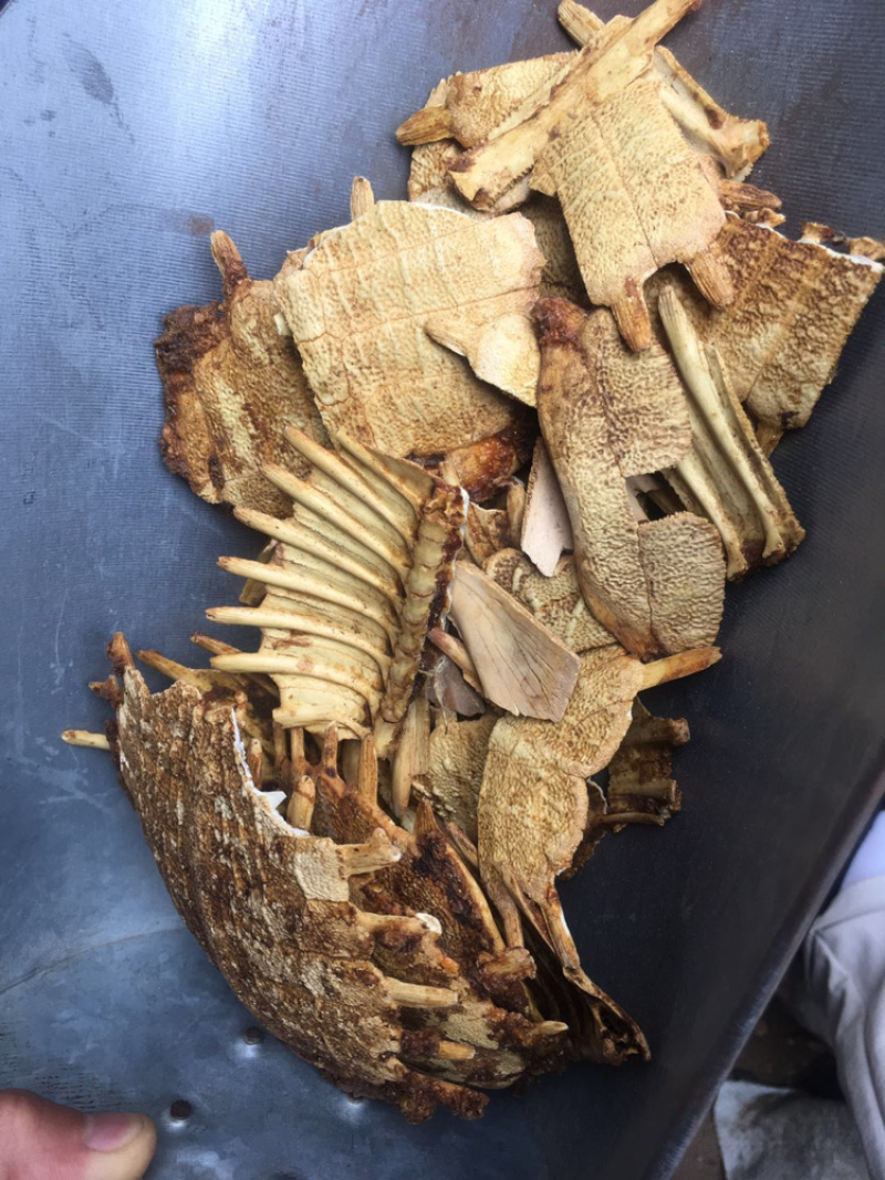 龟甲板生甲板炙甲板规格齐全量大从优
