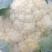 河北故城菜花已大量上市了