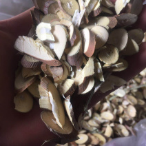 桑枝片干净无杂质批发零售