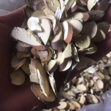 桑枝片干净无杂质批发零售