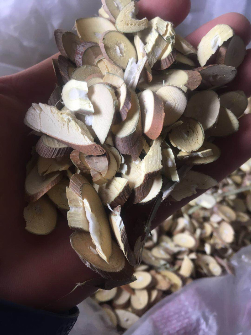 桑枝片干净无杂质批发零售