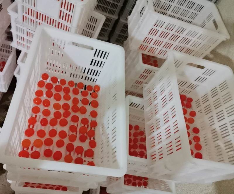 工厂直销真空咸蛋黄量大从优