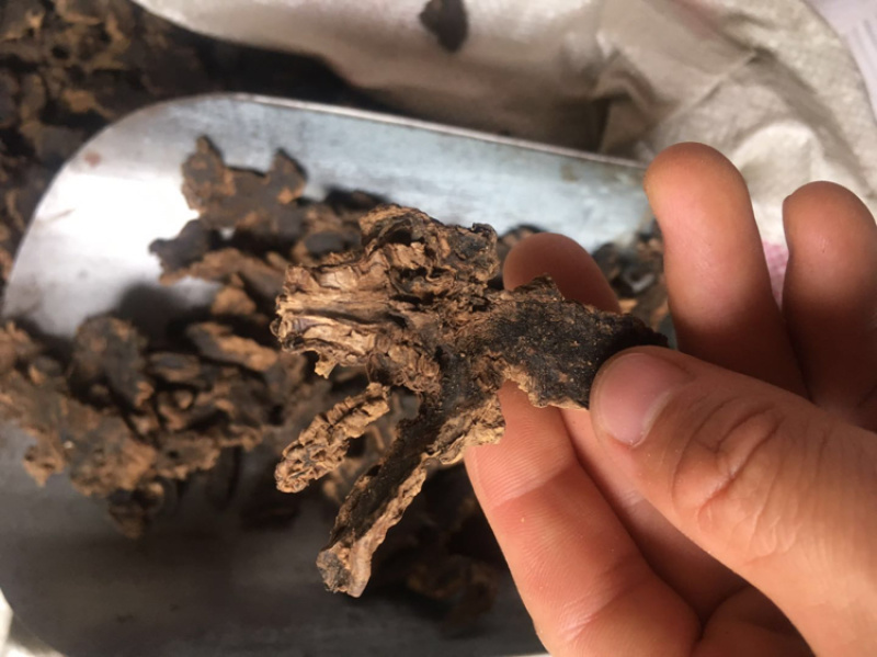 元参地产元参干净无杂道地中药材