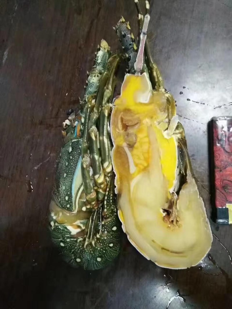 越南小青龙全规格，一件10公斤，上海全国发货