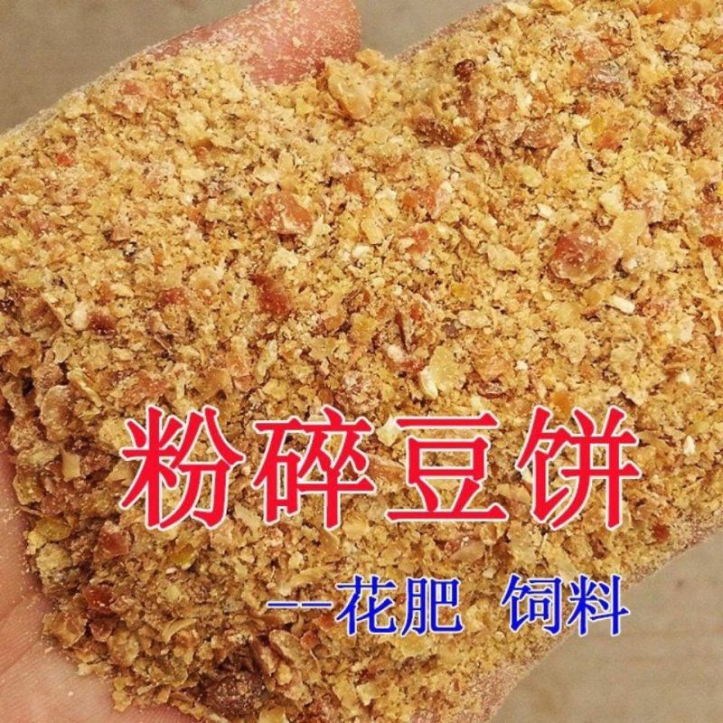肥料豆饼黄豆大豆饼钓鱼打窝料鱼饵饲料有机肥花草肥