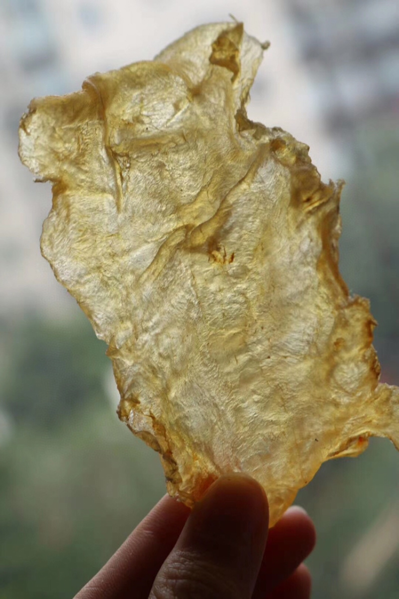 35头原色新西兰鳕鱼胶花胶水产干货批发代发送礼礼盒