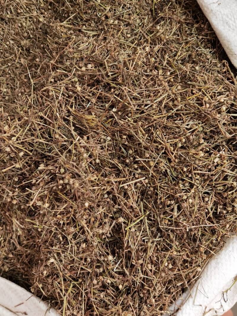 白花蛇舌草江西白花舌草正品无硫质量保证