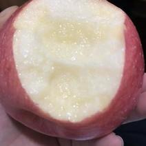 甘肃平凉静宁泾川红富士苹果新鲜水果十斤全国一件