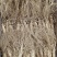 【吃鲜季】吉林鲜人参，礼盒装带土打包一件代发