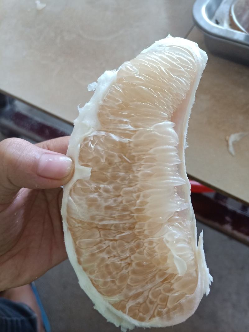梅州大埔青溪蜜柚产地直发诚信经营新历9月份左右