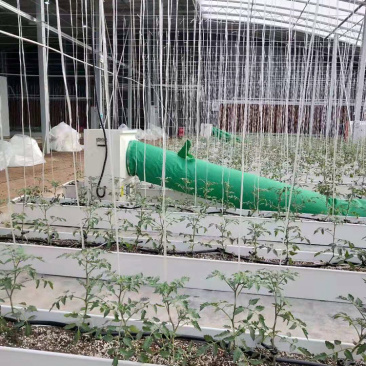 大棚增温设备节能型电暖风机半导体加热技术安全