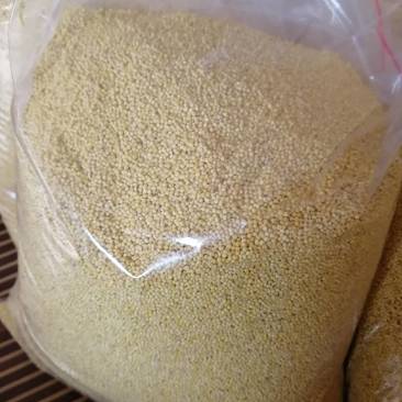 合作社自产自销的富硒红谷子小米货品优质营养健康