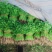 香菜四月十号到十月份都有货
