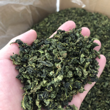 安溪秋茶铁观音农产品乌龙茶散装茶叶批发福建小志茶叶合作社