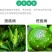 噻菌铜柑橘溃疡病软腐病叶斑病水稻细菌性条斑病杀菌剂龙克均