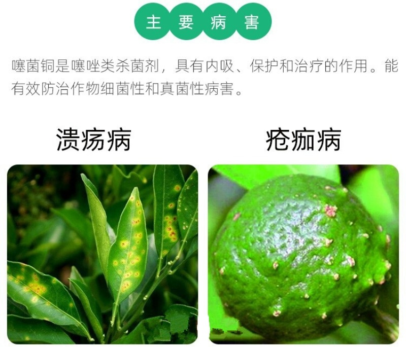 噻菌铜柑橘溃疡病软腐病叶斑病水稻细菌性条斑病杀菌剂龙克均