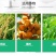 噻菌铜柑橘溃疡病软腐病叶斑病水稻细菌性条斑病杀菌剂龙克均