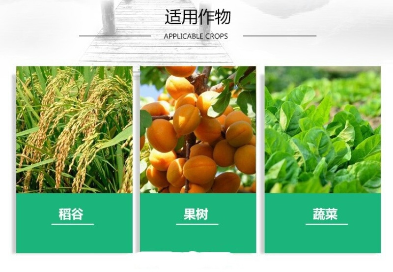 噻菌铜柑橘溃疡病软腐病叶斑病水稻细菌性条斑病杀菌剂龙克均
