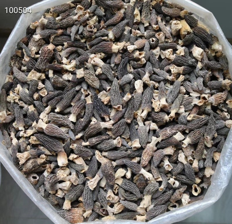 AA小号羊肚菌,1斤510元。