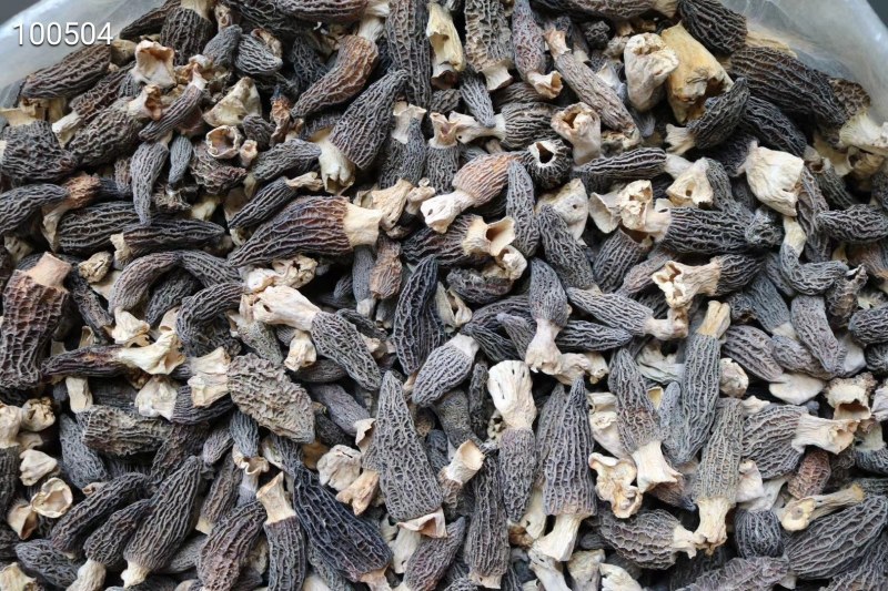 AA小号羊肚菌,1斤510元。