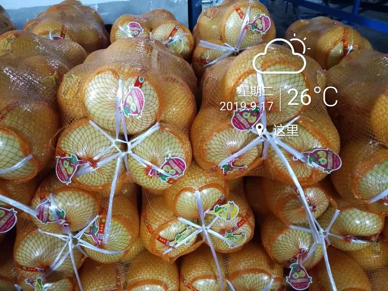 湖南红心蜜柚大量上市。(皮薄，口感好，)