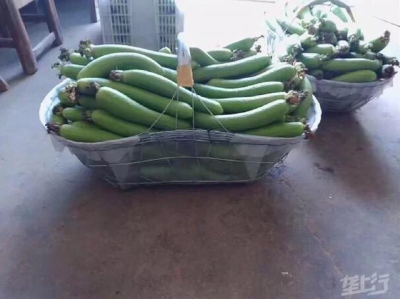 不锈钢丝篮子、瓜果蔬菜采摘筐、钢丝篮竹篮、免费代理